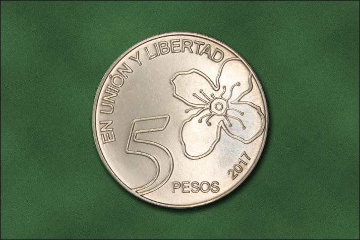 Foto de Moneda 2