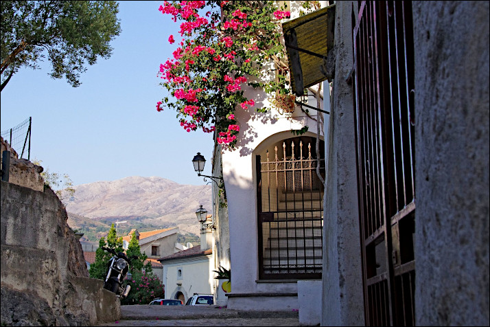 Foto cuandosepodalabuganvilla04