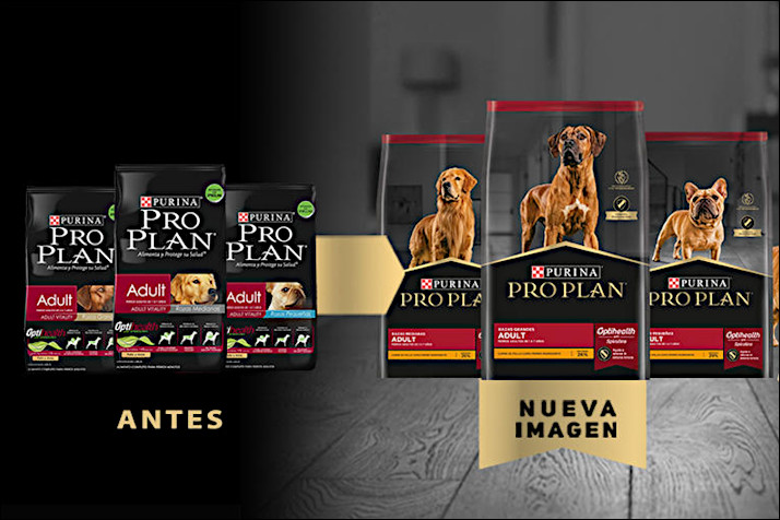 Foto de alimentosecoparaperros03