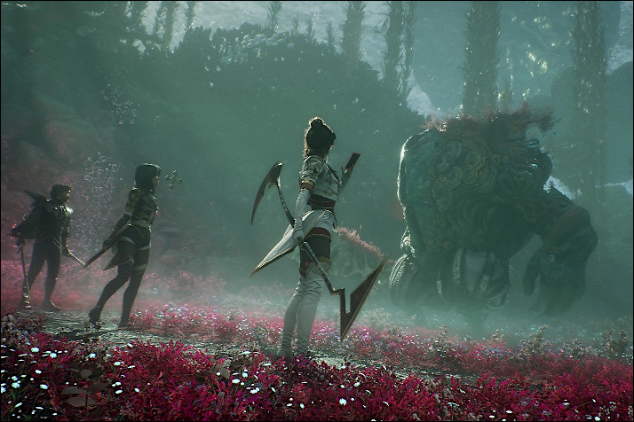 Foto de expedition3302