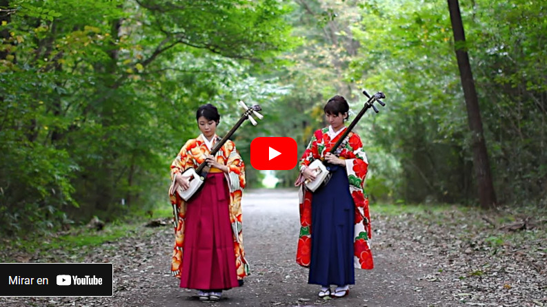 Video de Shamisencam